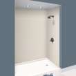 Transolid Expressions 42-in X 60-in X 96-in Glue to Wall Tub/Shower Wall Kit