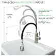 Transolid PF7509A-FLX Kitchen/Laundry Faucet with Swivel Action Ball-Joint, Dual Spray, and Flex Neck in Black