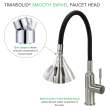 Transolid PF7509A-FLX Kitchen/Laundry Faucet with Swivel Action Ball-Joint, Dual Spray, and Flex Neck in Black