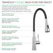 Transolid Kitchen/Laundry Faucet with Dual Spray and Flex Neck PF7509A-M