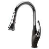 Transolid 1.8 GPM Pull-Down Kitchen Faucet