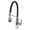 Transolid Organix Pull-Out Kitchen Faucet in Polished Chrome