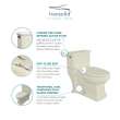 Transolid Hayes 1-Piece Elongated Vitreous China 1.28 gpf Toilet with toilet seat, Biscuit