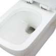 Transolid Cleveland 1-Piece Elongated Vitreous China Dual Flush 1.28/0.8 gpf Toilet with toilet seat, White