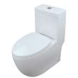 Transolid Pierce 1-Piece Elongated Vitreous China Dual Flush 1.28/0.8 gpf Toilet with toilet seat, White