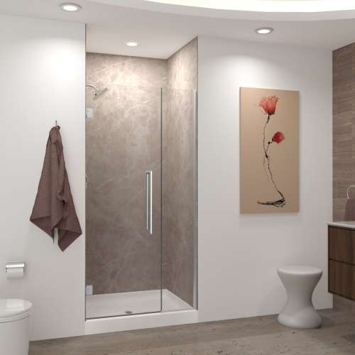 Transolid EHTB37257610C-T-BS Elizabeth 37-in W x 76-in H Hinged Shower Door in Brushed Stainless with Clear Glass