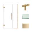 Transolid EHTB45277610C-BK-CB Elizabeth 45-in W x 76-in H Hinged Shower Door in Champagne Bronze with Clear Glass