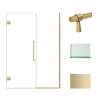 Transolid EHTB52287610C-BK-CB Elizabeth 52-in W x 76-in H Hinged Shower Door in Champagne Bronze with Clear Glass