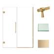 Transolid EHTB54247610C-BK-CB Elizabeth 54-in W x 76-in H Hinged Shower Door in Champagne Bronze with Clear Glass