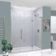 Transolid EHTF72247610C-T-BS Elizabeth 72-in W x 76-in H Hinged Shower Door in Brushed Stainless with Clear Glass