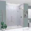 Transolid EHTF725247610C-BK-BS Elizabeth 72.5-in W x 76-in H Hinged Shower Door in Brushed Stainless with Clear Glass