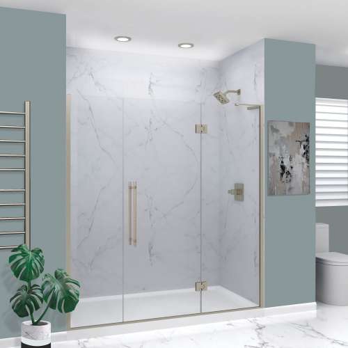 Transolid EHTF725247610C-BK-BS Elizabeth 72.5-in W x 76-in H Hinged Shower Door in Brushed Stainless with Clear Glass