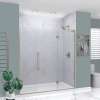 Transolid EHTF745267610C-BK-BS Elizabeth 74.5-in W x 76-in H Hinged Shower Door in Brushed Stainless with Clear Glass