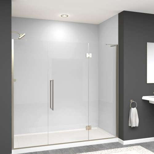 Transolid EHTF775297610C-T-BS Elizabeth 77.5-in W x 76-in H Hinged Shower Door in Brushed Stainless with Clear Glass