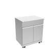 Transolid OUC3224 Outdoor Kitchen 32-in x 24-in x 37-in Single Utility Cabinet, Stainless Steel