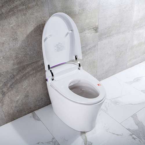 TL-77780-A Ginger 1-Piece 1.28/0.87 GPF Dual Flush Elongated Smart Bidet Toilet With Sensor, White