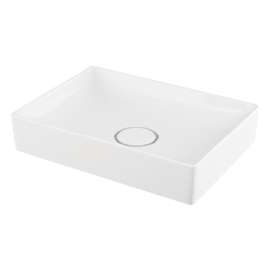 Tyler Vitreous China 19-in Rectangular Vessel Sink