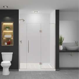 EHTF625267610C-T-BS Elizabeth 62.5-in W x 76-in H Hinged Shower Door in Brushed Stainless with Clear Glass