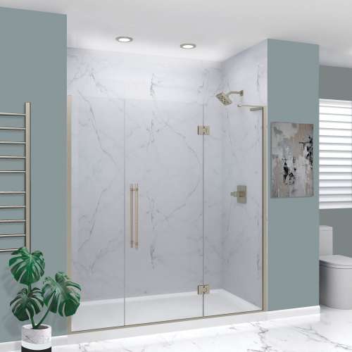 EHTF74267610C-BK-BS Elizabeth 74-in W x 76-in H Hinged Shower Door in Brushed Stainless with Clear Glass