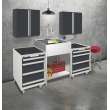 K-EWS-2822S 28-in W x 22.1-in D x 35.2-in H Laundry Sink/Wash Stand All-in-One Kit, Brushed Stainless