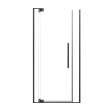 RDPD4276108C-MB Rynolds Duo 42-in x 76-in Pivot Shower Door With 5/16-in Clear Glass And Sabrina Double-Sided Handles, Matte Black
