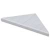 9-in x 9-in x 1-in Solid Surface Corner Shelf/Footrest With Stainless Steel Dowel Pins, Arctic Etch, CS99SS-71