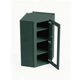 24 in. x 42 in. Ready to Assemble Easy Reach Wall Cabinet with Remington Frame Clear Glass Door, Green, DCW2442GD-RTA-FR01-GR-C