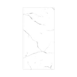 Titan 48-in x 96-in Shower Wall Panel, White Caruso (Glossy), TW4896-KI01G