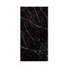 Titan 48-in x 96-in Shower Wall Panel, Black Caruso (Glossy), TW4896-KI03G
