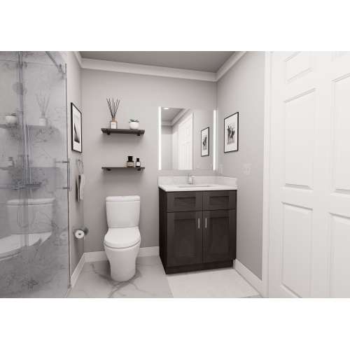 30-in x 21-in x 35-in Ready To Assemble Shaker Double Door Double Drawer Front Vanity Sink Base Cabinet, Smokey Grey